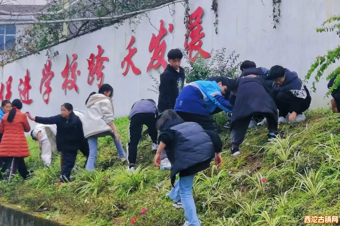 西沱中学组织“校园除草”劳动教育实践活动(2)